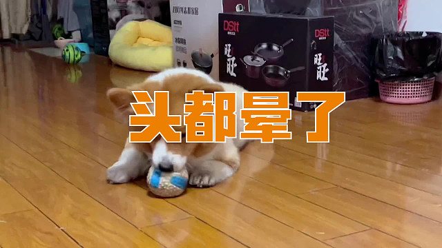 看了几遍我头都晕了