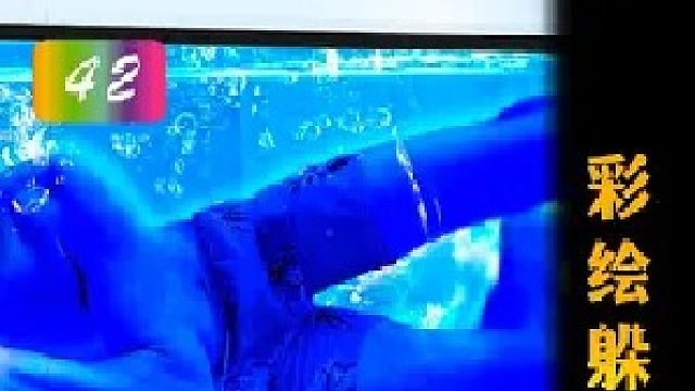 奇葩的彩绘伪装躲猫猫你玩过么？