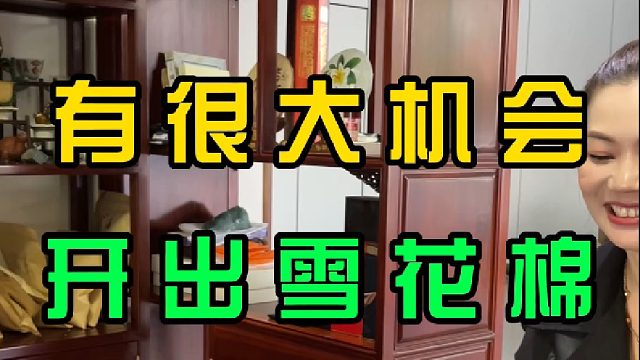没有表现的料子是好料子吗
