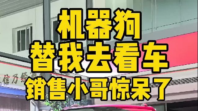 机器狗替我去看车，销售小哥都看呆了#