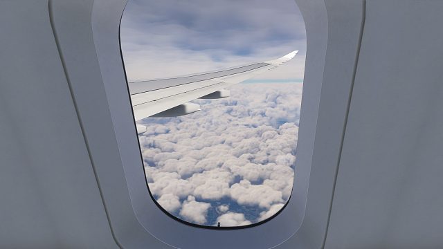 模拟飞行新人主播，欢迎捧场-片段1