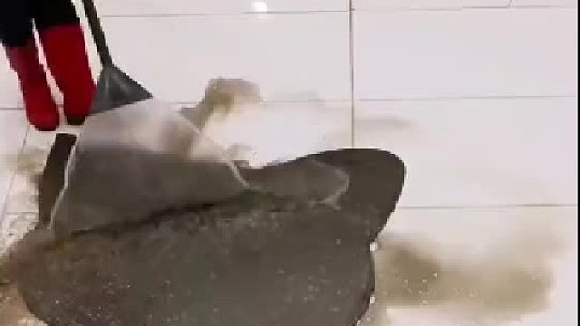 垫子30，清理费300