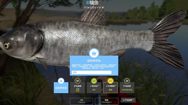 57KG蓝铁头撞鱼到起鱼