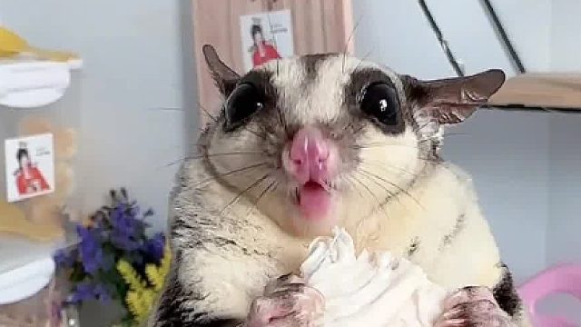 一块鸡肉也能吃得这么香