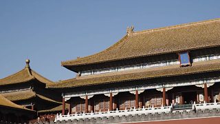 【UFC300 | 倒計時】聯(lián)合主賽：史上首場中國德比——女子草量級冠軍戰(zhàn)