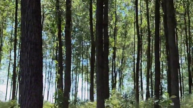 被赶出家门的第三天