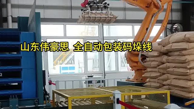 定制PE粉包装码垛机 自动包装码垛线现场