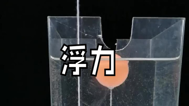 浮力是力学的难点，浮力的方向是竖直向上，强调竖直不是垂直