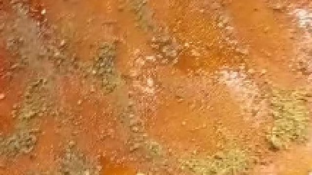 敲几下刀  那是吓唬它？？