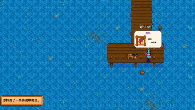 遇见鱼王，一次就钓起来了