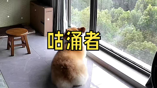 咕涌者