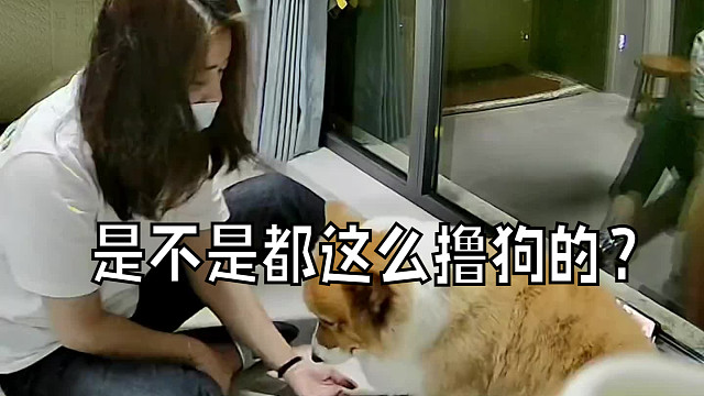 是不是都这么撸狗的？