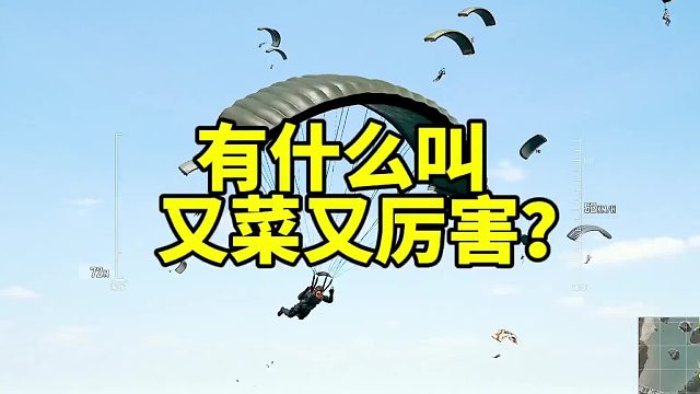 什么叫又菜又厉害