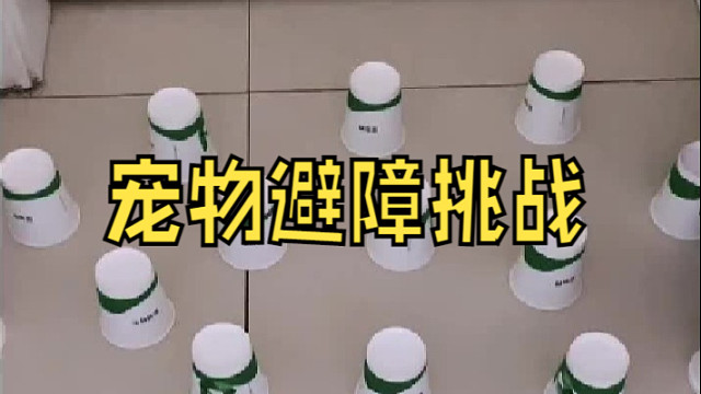 我说一根没倒你信嘛？