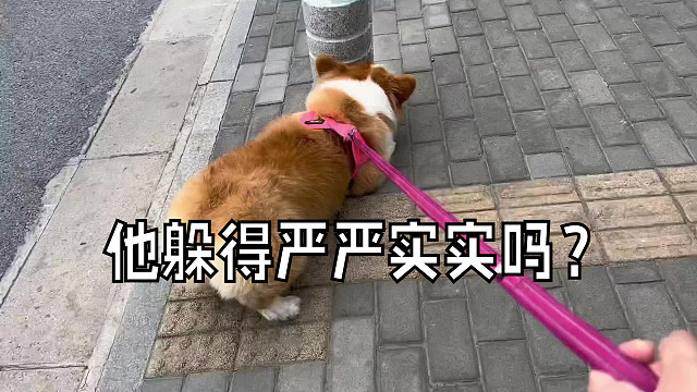 他该不会真的以为 他躲得严严实实的吧？