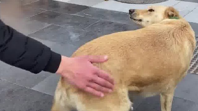 1.分享给有趣的朋友叭#萌宠宝宝的日常