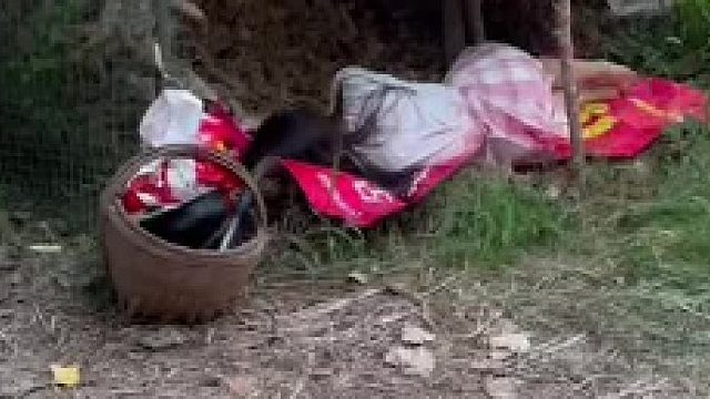 挑战流浪100天 第7天