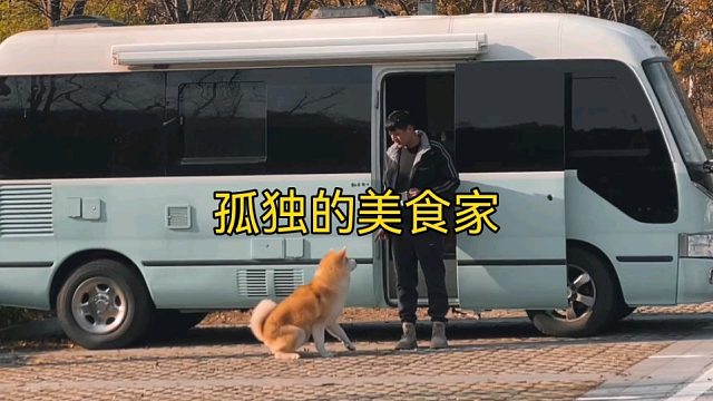 中巴车流浪记，三天饿9顿，一人一狗在寒风中瑟瑟发抖