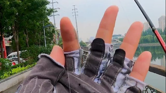 瓜子亮片~捍卫路亚人最后的尊严