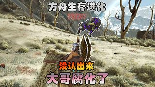 方舟生存進(jìn)化 滅絕07 遇到大哥沒認(rèn)出，生氣了