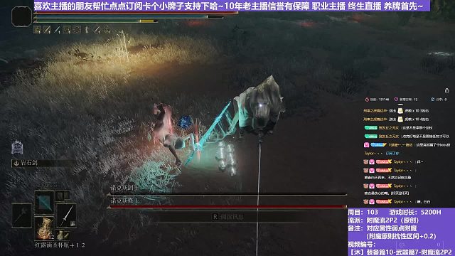 【沐】装备篇10-武器篇7-附魔流2P2番外篇56P2 双夜妹P2（附魔原则次级属性：魔）