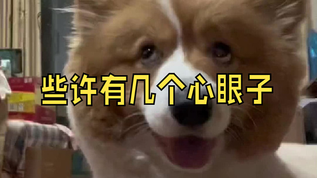 些许有几个心眼子