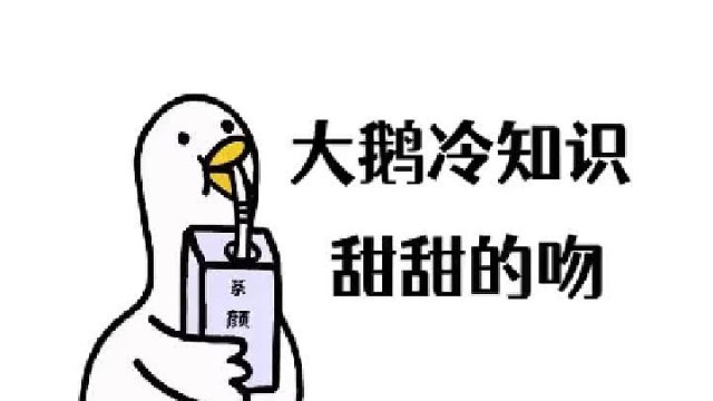 恋爱保鲜指南