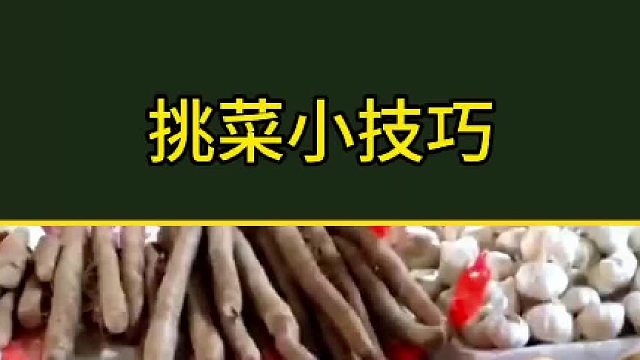 挑菜小技巧