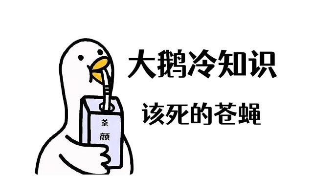 苍蝇落在食物上都干了什么？看完你还吃吗？