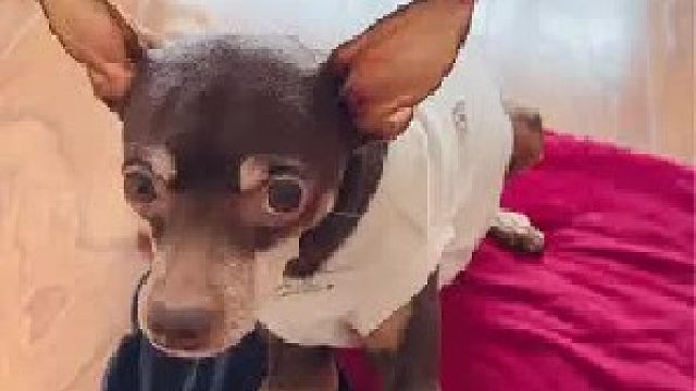 大家帮我分析分析它到底是啥意思……