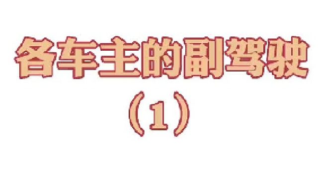 各车主副驾驶