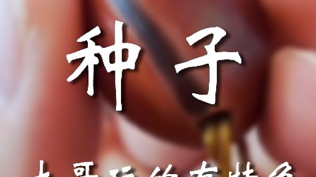 你这触及我知识盲区了