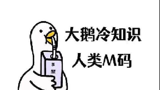 到底是谁？发明了这些奇怪的密码