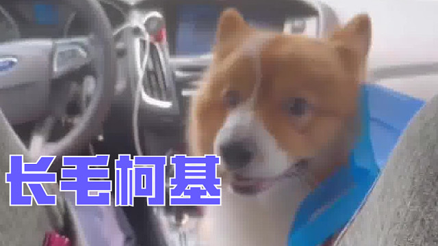 嘴巴都呜呜成了饺子皮，哥哥姐姐们好开心