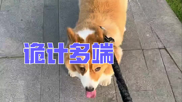 纵使你再诡计多端，我也早已看穿看淡