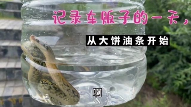 记录车贩子的美好一天，早起先搞个大饼油条开开胃，顺便放条小花蛇