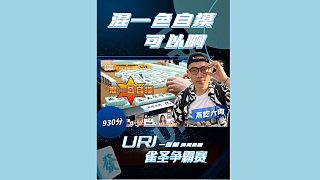 混一色自摸??！