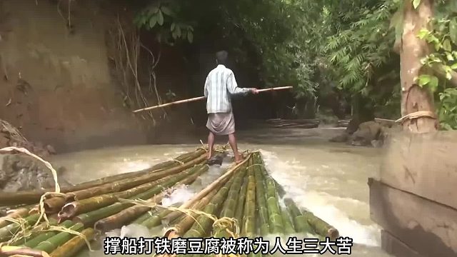 15.奥德彪在孟加拉砍竹子！  #奥德彪  #命运蕉响曲  #纪录片