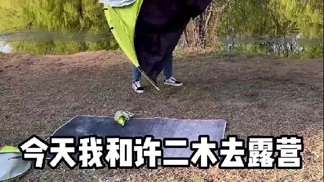 《 狐 朋 狗 友 》#兄妹 #整蛊 #日常