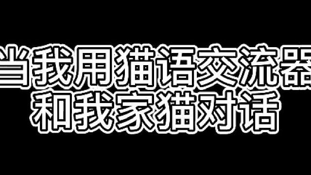 铲屎官让猫咪迷惑的瞬间。#猫咪的迷惑行为 #铲屎官