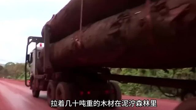 18.拉着50吨重的原木在泥泞路上狂奔！  #奥德彪  #命运蕉响曲  #纪录片