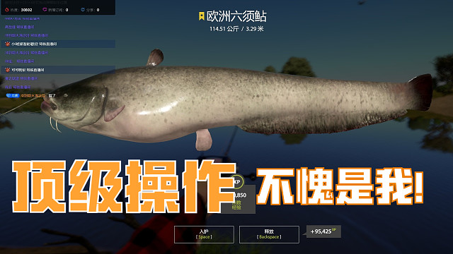 岸上散步之星猪上岸咬人