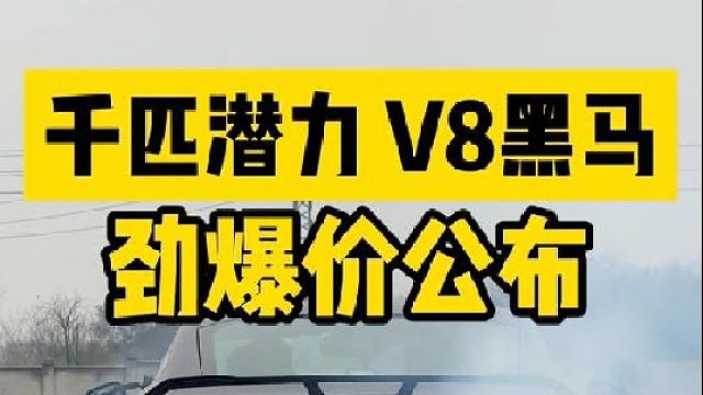 5.0V8千匹潜力黑马，买的就是排面！有谁不服？ 72.5万你猜到了吗？