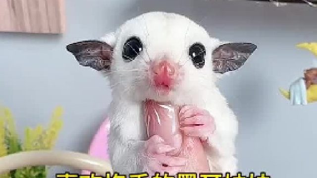 喂喂喂，怎么不接电话。