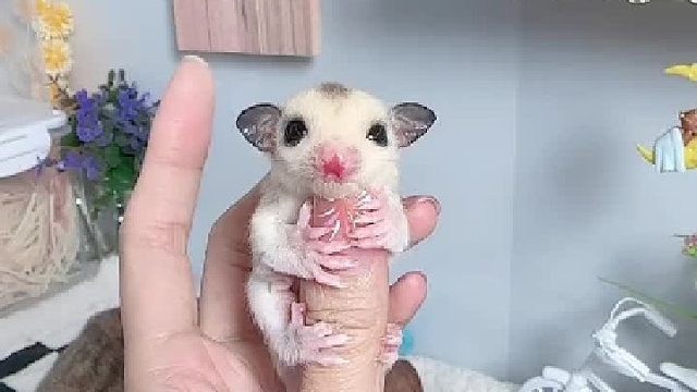 今天回来晚了，两只手不够用了，盘不够