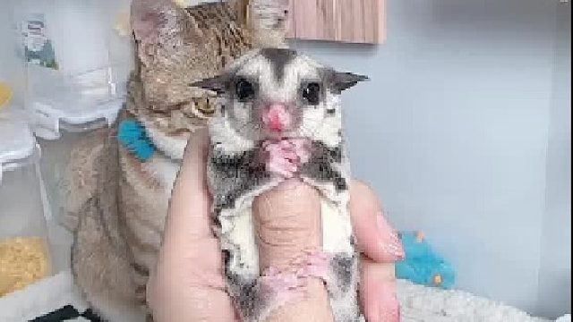 出门一天，回家第一时间就要盘一盘它们，不然总感觉少了点啥