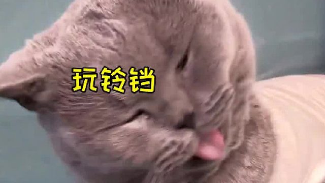 《 躲 猫 猫 》#兄妹 #整蛊 #日常