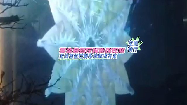 云南某全息餐厅多台投影仪联动控制效果