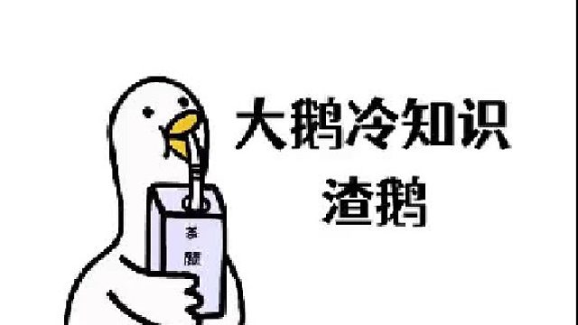 呸！原来鹅也这么渣！