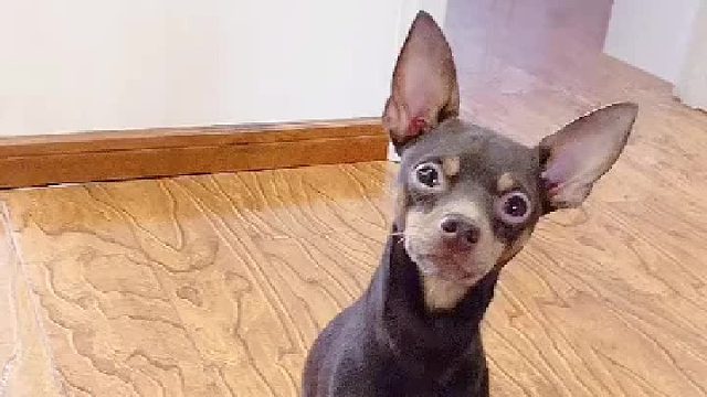 引开一个又来一个，这也太难了。